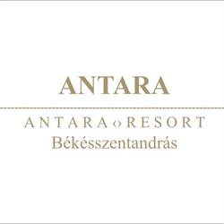 Antara nyaraló