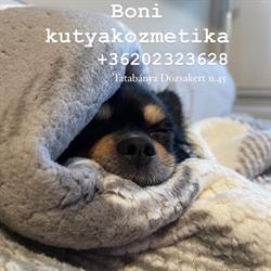 Boni kutyakozmetika