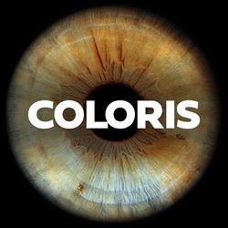 Coloris Budapest
