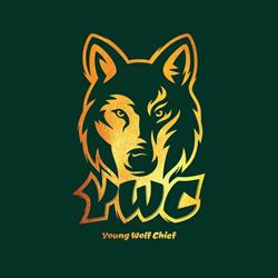 Young Wolf Chief Gym Muay Thai (Thai box) és Küzdősport Club
