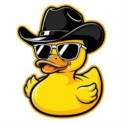 Duckydev  Lakatos Árpád - szoftverfejlesztő