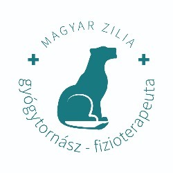 Fizioszentendre