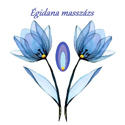 Égidana Regeneráló és Wellness Masszázs Stúdió