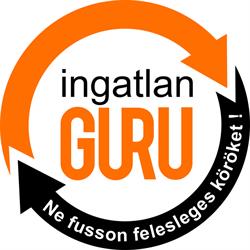 Ingatlan Guru
