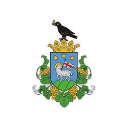 Jánoshalma Városi Önkormányzat