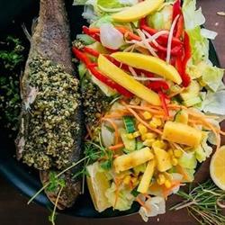 Omega3 Pisztráng Bistro