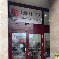 Földváriné Csuka Diána egyéni vállalkozó - Peony Flower