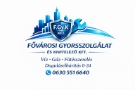 FŐVÁROSI