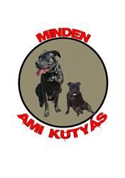 Minden ami kutyás