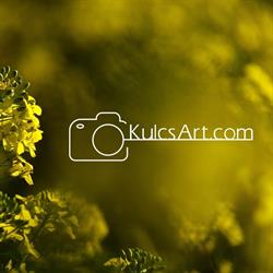 Kulcsart Photography