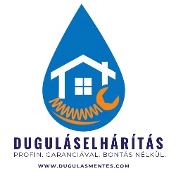 VCS-Aries Betéti Társaság