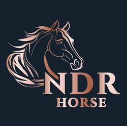 NDR Horse lovas webshop