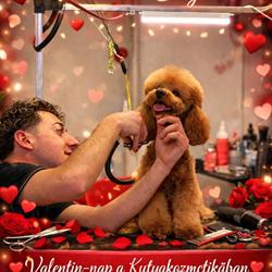 Dogs&Beauty Kutyakozmetika