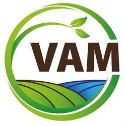 Vam Consulting Kft.