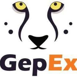 Gepárd Express Kft.