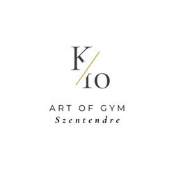 K10 Art of gym