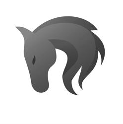 Ferro Horse