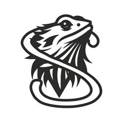 SomoGyík - szakállas agáma tenyészet