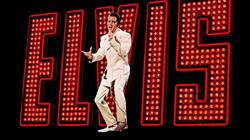 ELVIS Dorog