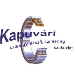 Kapuvári Tibor csapágy, ékszíj, szimering szaküzlet