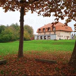 Balaton Terasz