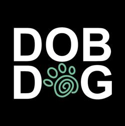 DobDog kutyanapközi iskola & spa