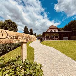 Desiparti Apartman