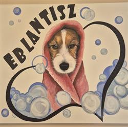 Eblantisz kutyakozmetika