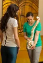 Mozgásszervi és rehabilitációs kezelések