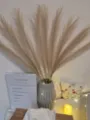 Szalon