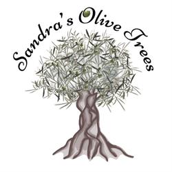 Sandra’s Olive Trees - Olivafa, Olajfa