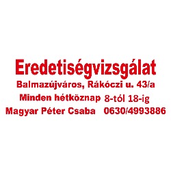 Magyar Péter Csaba e.v.