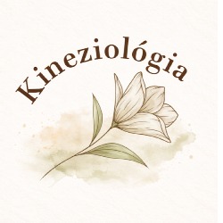 One Brain kineziológia*flow* *Erikàval