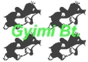 Gyimi Gyimóthy Számítástechnikai, Mérnöki És Szolgáltató Bt.