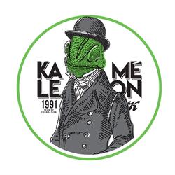 Kaméleon Reklám Kft.