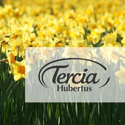 TERCIA HUBERTUS ÉTTEREM
