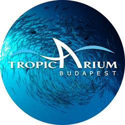 Tropicarium Óceanárium Kft - Campona Budapest