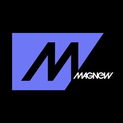 Magnew Kereskedelmi És Szolgáltató Kft.