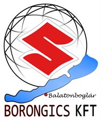 Borongics Kft