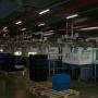 Injection plant