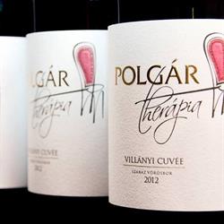 Polgár Bor
