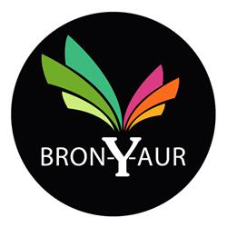 Bron-y-Aur Kft., Külföldi Oktatásszervező Központ