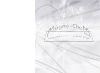 Magne-Chem Kft. honlapja
