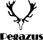 Pegazus Vadászatszervező Kft.