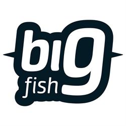 Big Fish Internet-Technológiai Kft.