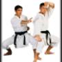 karate ruhák