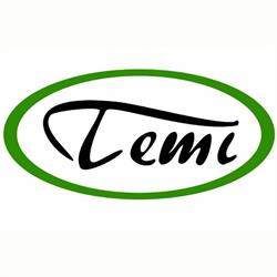Temi Kft.