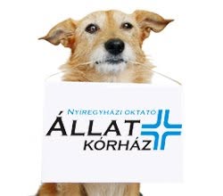 Nyíregyházi Oktató Állatkórház