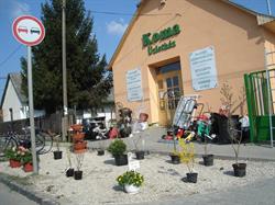 Koma Üzletház