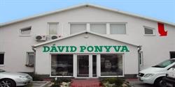 Dávid Ponyva Kft.